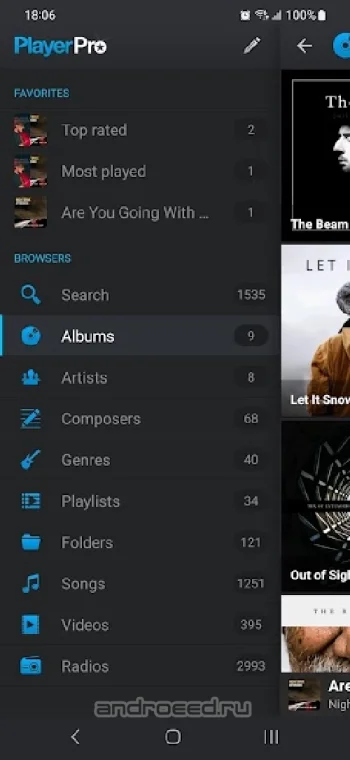PlayerPro Music Player PRO - скриншот 4