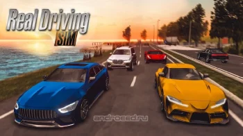 Real Driving Sim - скриншот 1