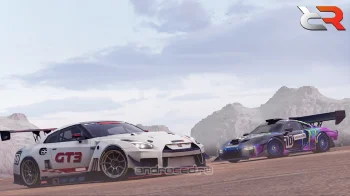 Real Rally - скриншот 2