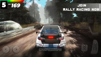 Real Rally - скриншот 5