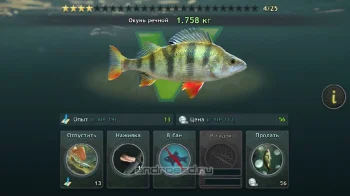 Рыбалка: World of Fishers - скриншот 1
