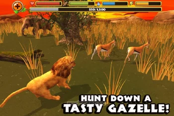 Safari Simulator: Lion - скриншот 4