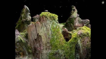 Samorost 1 - скриншот 3