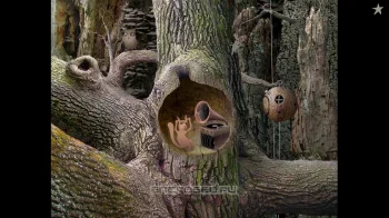 Samorost 1 - скриншот 5