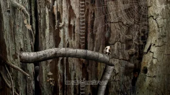Samorost 2 - скриншот 2