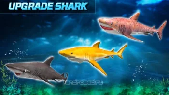 Shark Simulator 2019 - скриншот 2