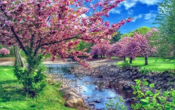 Smart HDR - скриншот 1