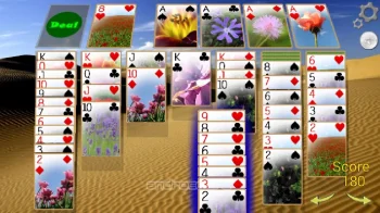Solitaire 3D Pro - скриншот 1