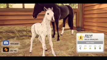 Состязание звезд: скачки (Rival Stars Horse Racing) - скриншот 3