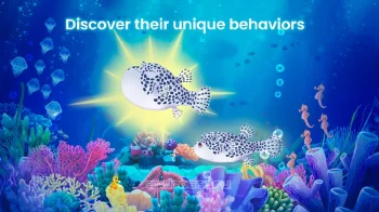 Splash: Ocean Sanctuary - скриншот 3