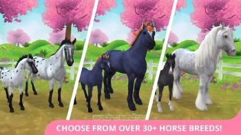 Star Stable Horses - скриншот 2