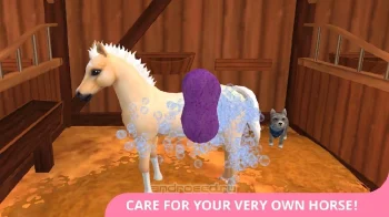 Star Stable Horses - скриншот 3