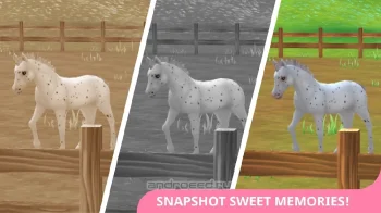 Star Stable Horses - скриншот 5