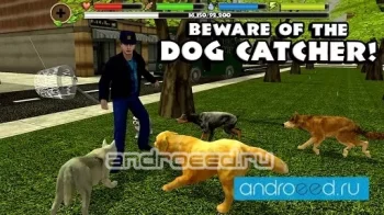 Stray Dog Simulator - скриншот 2