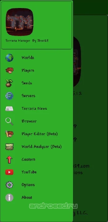 Terraria Manager - скриншот 2