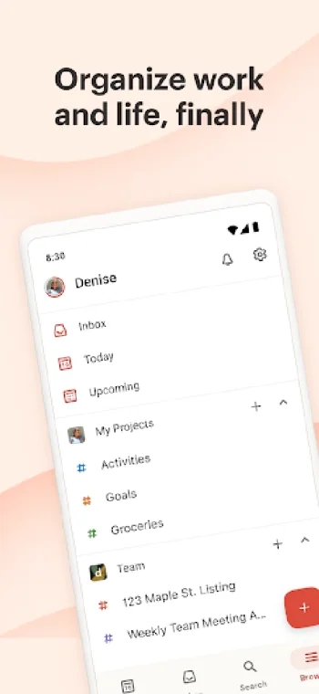 Todoist: планы и задачи - скриншот 1