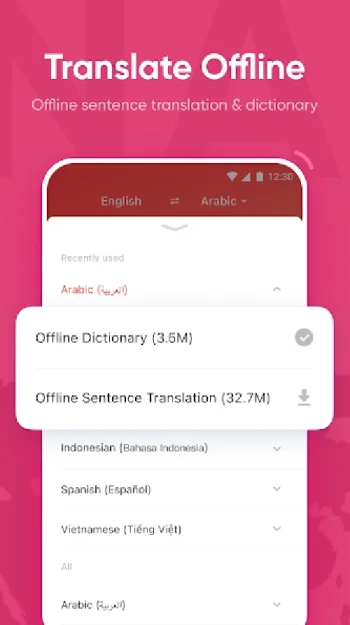U Dictionary - скриншот 5