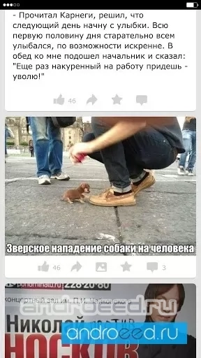 Улыбнись! :) Приколы - скриншот 4