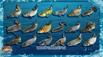 Ultimate Fishing Simulator PRO - скриншот 2