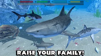 Ultimate Shark Simulator - скриншот 5