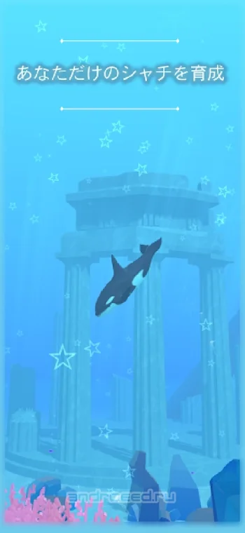 Virtual Orca Simulation game 3D -Aquarium World- - скриншот 2