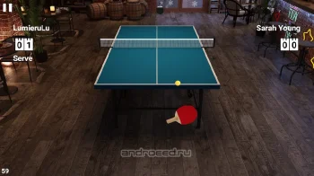 Virtual Table Tennis - скриншот 2