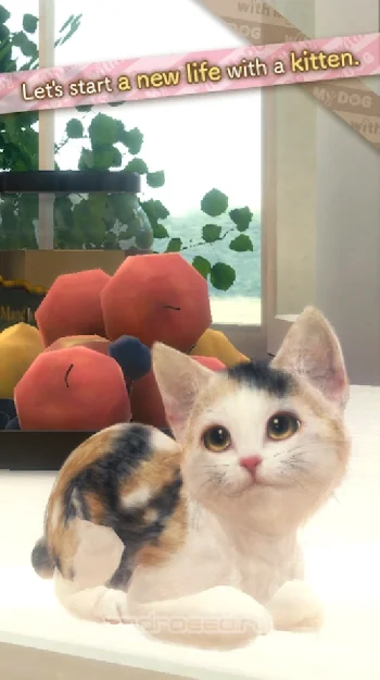 with My CAT - скриншот 1