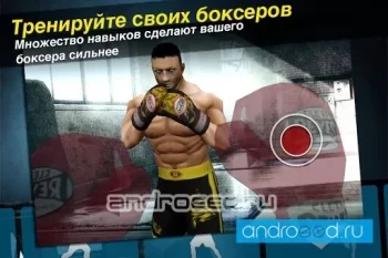 World Boxing Challenge - скриншот 3
