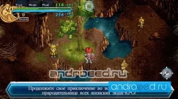 Ys Chronicles II - скриншот 3
