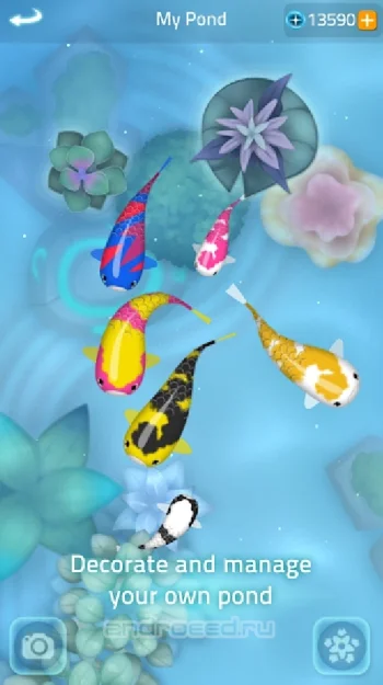 Zen Koi 2 - скриншот 5