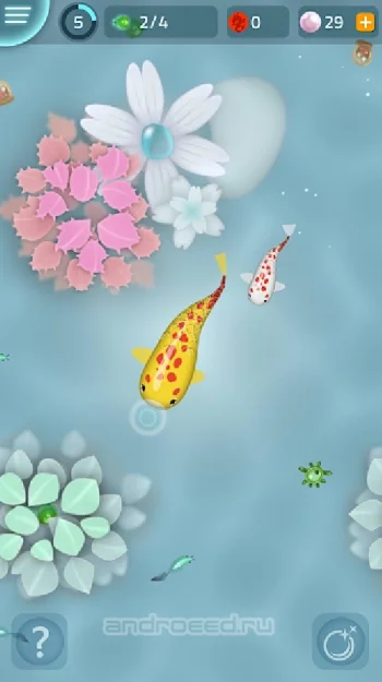 Zen Koi - скриншот 5