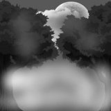 Forest Escape