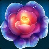 Frozen Flowers