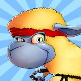 Kung-Fu Sheep