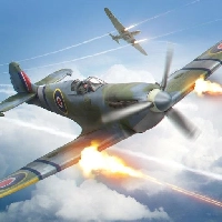 War Dogs : Ace Fighters of World War 2