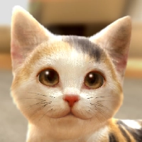 with My CAT