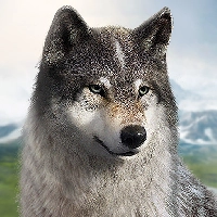 Wolf Game: The Wild Kingdom