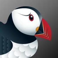 Браузер Puffin Incognito