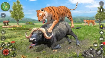 I Am Tiger Life Simulator - скриншот 1