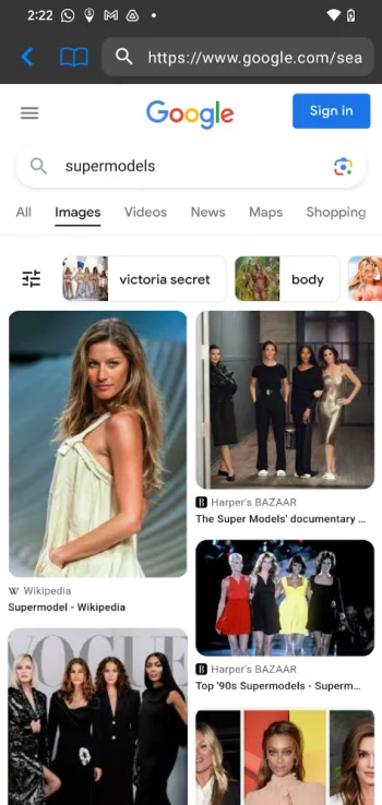 Private Browsing Web Browser - скриншот 2
