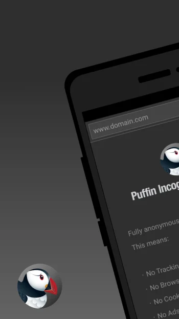 Браузер Puffin Incognito - скриншот 1