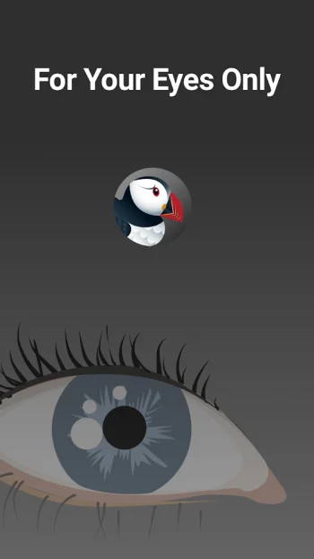 Браузер Puffin Incognito - скриншот 5
