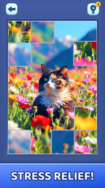 Video Jigsaw Puzzle - скриншот 4