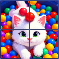 Video Jigsaw Puzzle