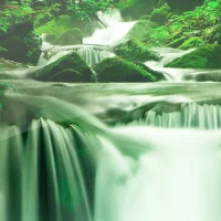 Обои Природа