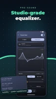 Ongaku — Offline Music Player - скриншот 4