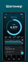 StepsApp Шагомер - скриншот 1