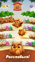 Chirpy Sort: Bird Color Puzzle - скриншот 4