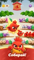 Chirpy Sort: Bird Color Puzzle - скриншот 2