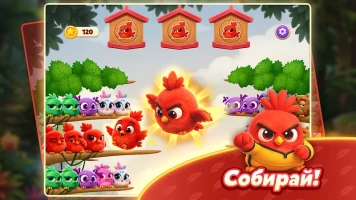 Chirpy Sort: Bird Color Puzzle - скриншот 8